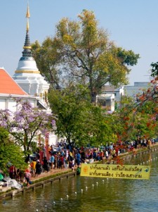 Moats Of Chiang Mai
